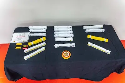 Unlimited Martial Arts Academy BJJ Academy - photo 3