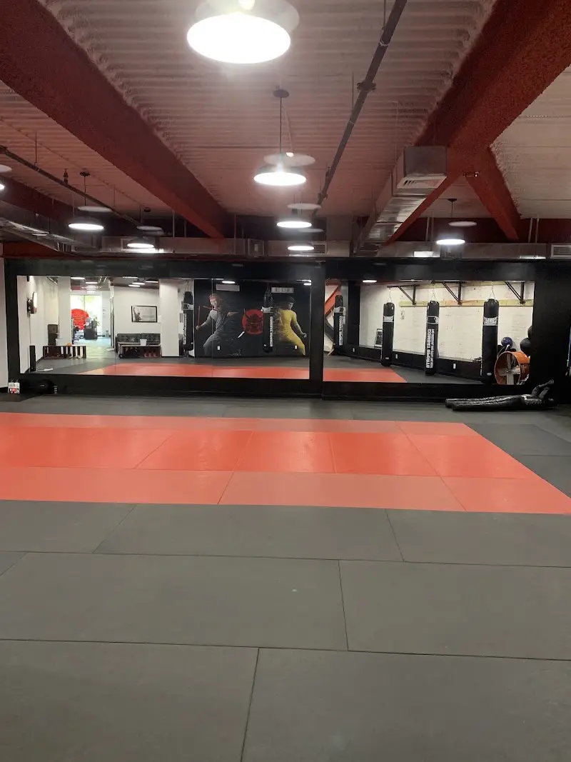 Unlimited Martial Arts NYC BJJ Academy - photo 1