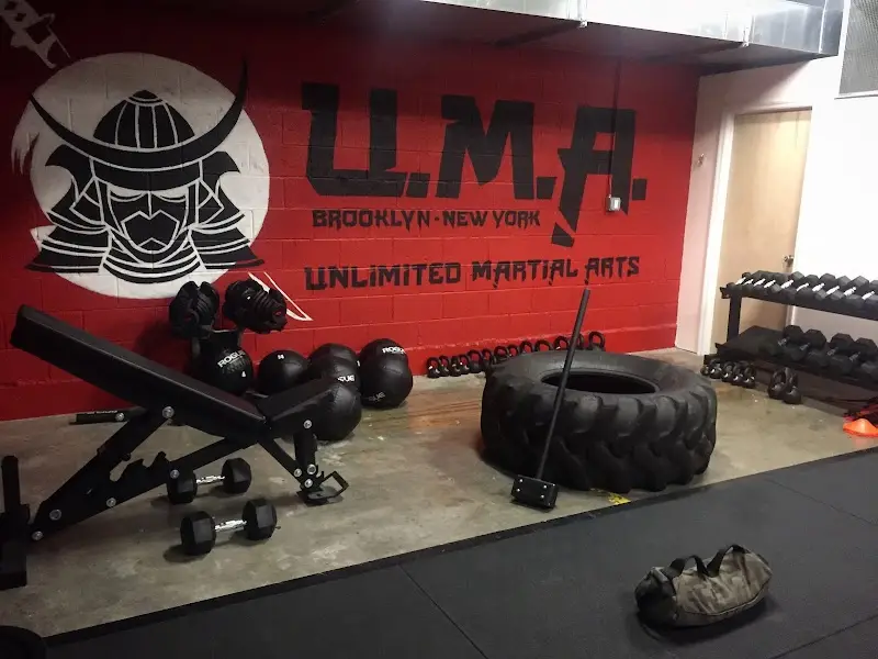 Unlimited Martial Arts NYC BJJ Academy - photo 2