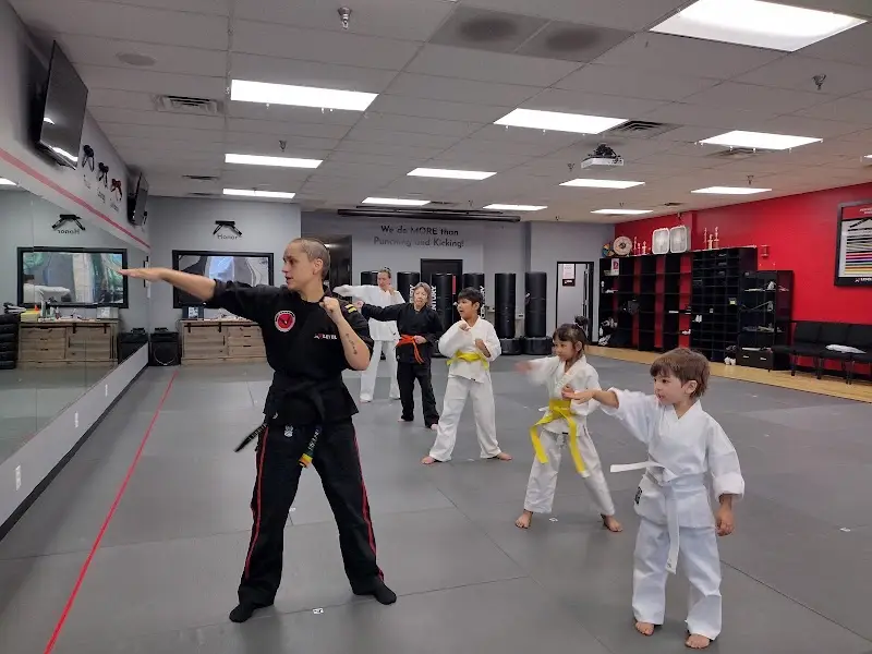 UpLevel Martial Arts BJJ Academy - photo 1