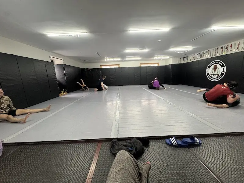 Upper Valley Brazilian Jiu Jitsu BJJ Academy - photo 2