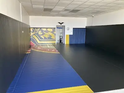Upstream Jiu Jitsu BJJ Academy - photo 4