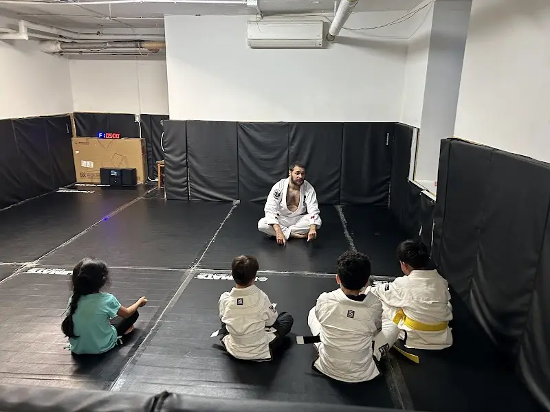 Uptown Hive Martial Arts BJJ Academy - photo 2
