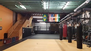 Inside Urban Jungle Self Defense academy