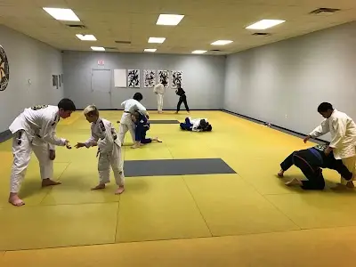 URSA Academy - Ribeiro Jiu-Jitsu Ann Arbor BJJ Academy - photo 1