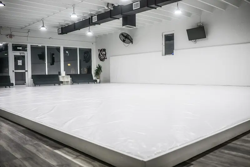 Vagner Rocha Martial Arts BJJ Academy - photo 1