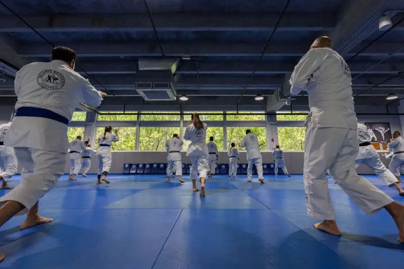 Valente Brothers BJJ Academy - photo 1