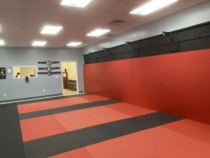 Valhalla Jiu-Jitsu & MMA BJJ Academy - photo 1