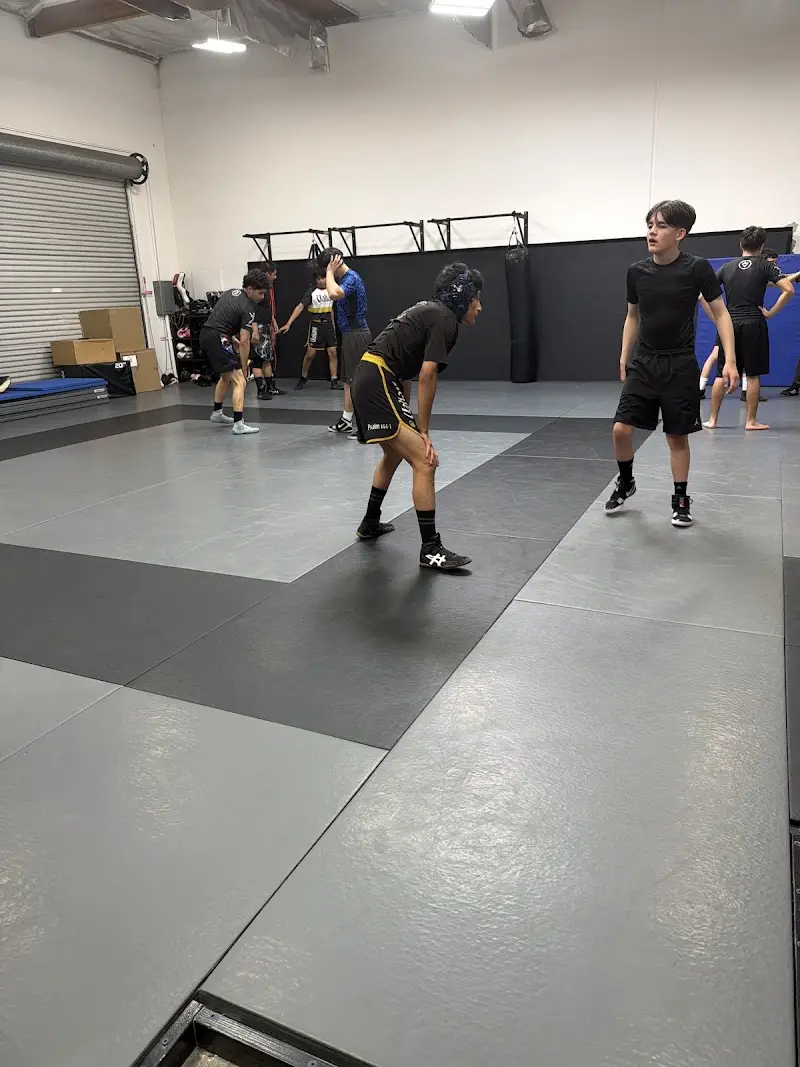 Valiant Academy BJJ Academy - photo 1