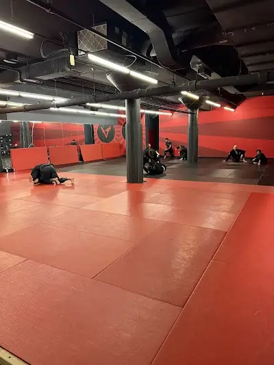 Valko Brazilian Jiu-Jitsu Academy