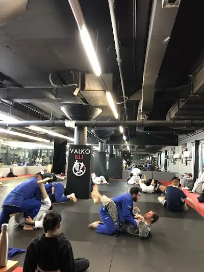 Valko Brazilian Jiu-Jitsu Academy BJJ Academy - photo 3