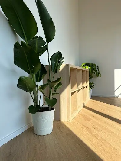 Valko Jiu Jitsu Studio BJJ Academy - photo 3