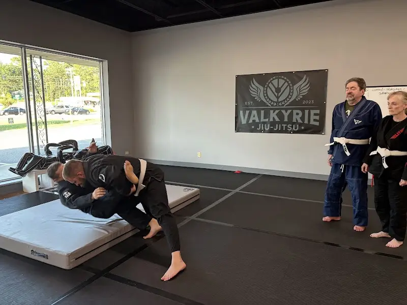 Valkyrie Jiu Jitsu BJJ Academy - photo 2