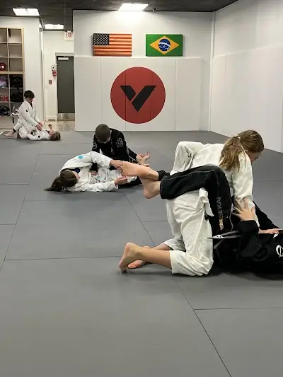 Valle Brazilian Jiu-Jitsu BJJ Academy - photo 2
