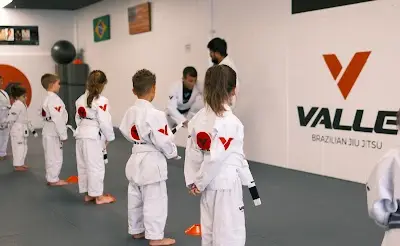 Valle Brazilian Jiu-Jitsu BJJ Academy - photo 3
