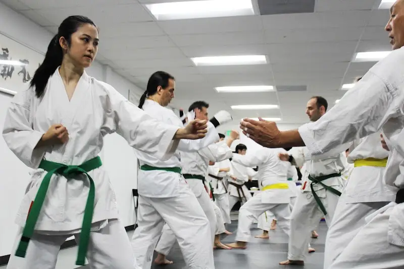 Valley Martial Arts Center BJJ Academy - photo 2