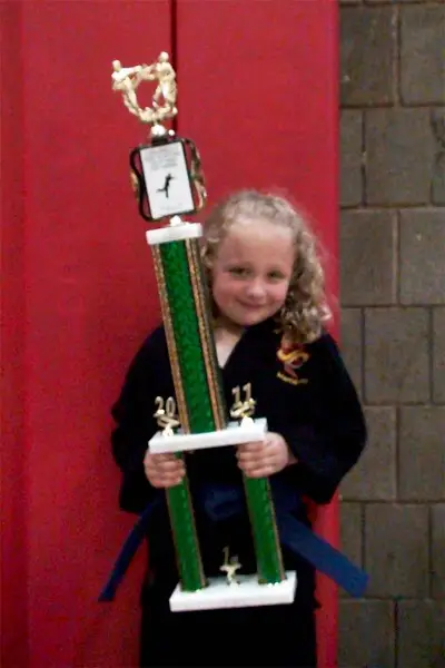 Valley Shore Martial Arts, LLC BJJ Academy - photo 3