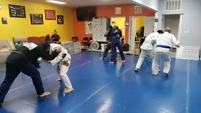 Valor Brazilian Jiu Jitsu BJJ Academy - photo 3