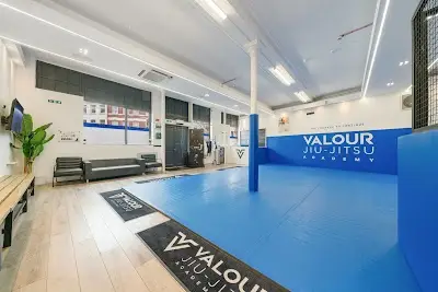 Valour Jiu-Jitsu HQ BJJ Academy - photo 2