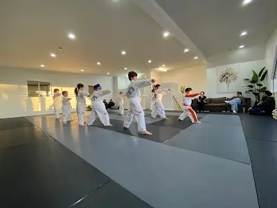 Van Roon Martial Arts | Auckland Taekwondo – Kickboxing – MMA BJJ Academy - photo 2