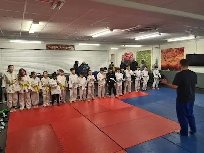 Vasi Fuşle Academy - Judo / BJJ (Brazilian Jiu-Jitsu) BJJ Academy - photo 1