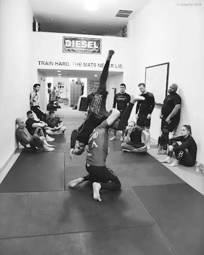 Velez Jiujitsu BJJ Academy - photo 2