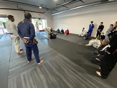 Veneration BJJ BJJ Academy - photo 4