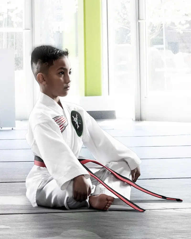 Venture Martial Arts BJJ Academy - photo 2