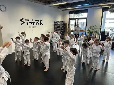 Vera bjj kids BJJ Academy - photo 2