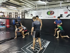 Inside Versus Performance academy