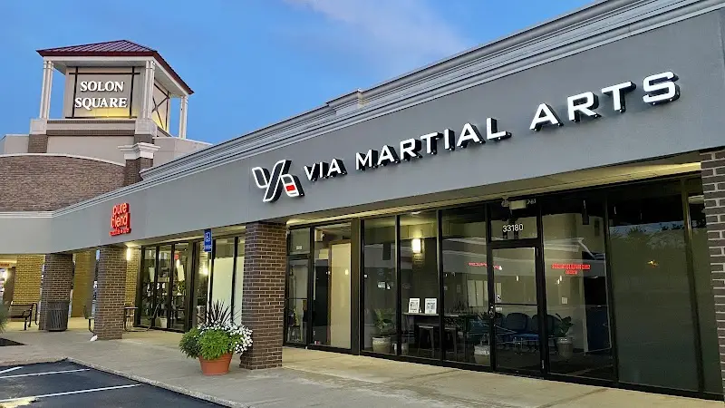 VIA MARTIAL ARTS
