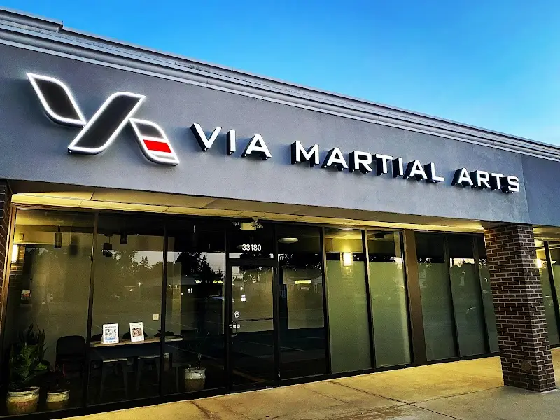 VIA MARTIAL ARTS BJJ Academy - photo 1