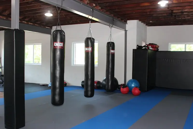 Viana Bros Fight Club