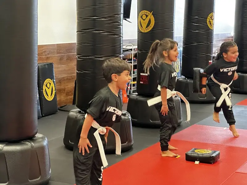 Victory Martial Arts - Alamo Heights BJJ Academy - photo 2