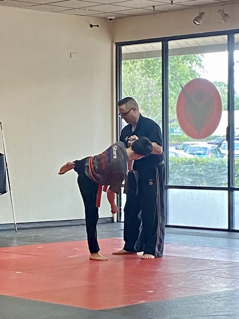 Victory Martial Arts BJJ Academy - photo 1