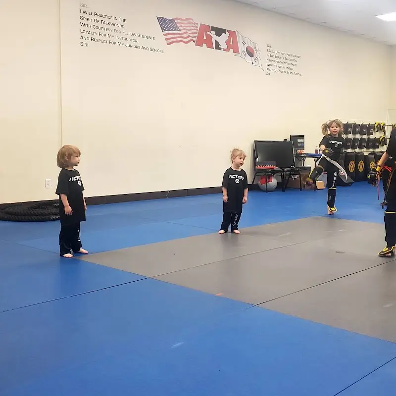 Victory Martial Arts - Bandera