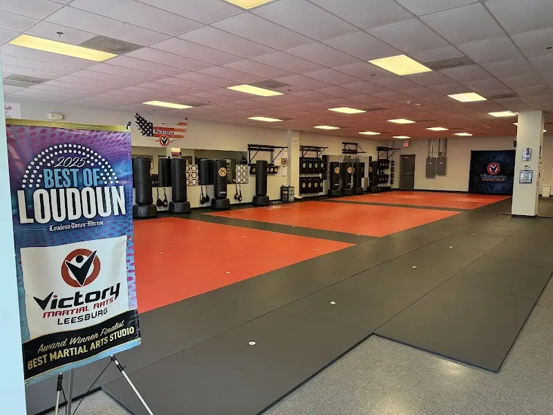 Victory Martial Arts BJJ Academy - photo 1