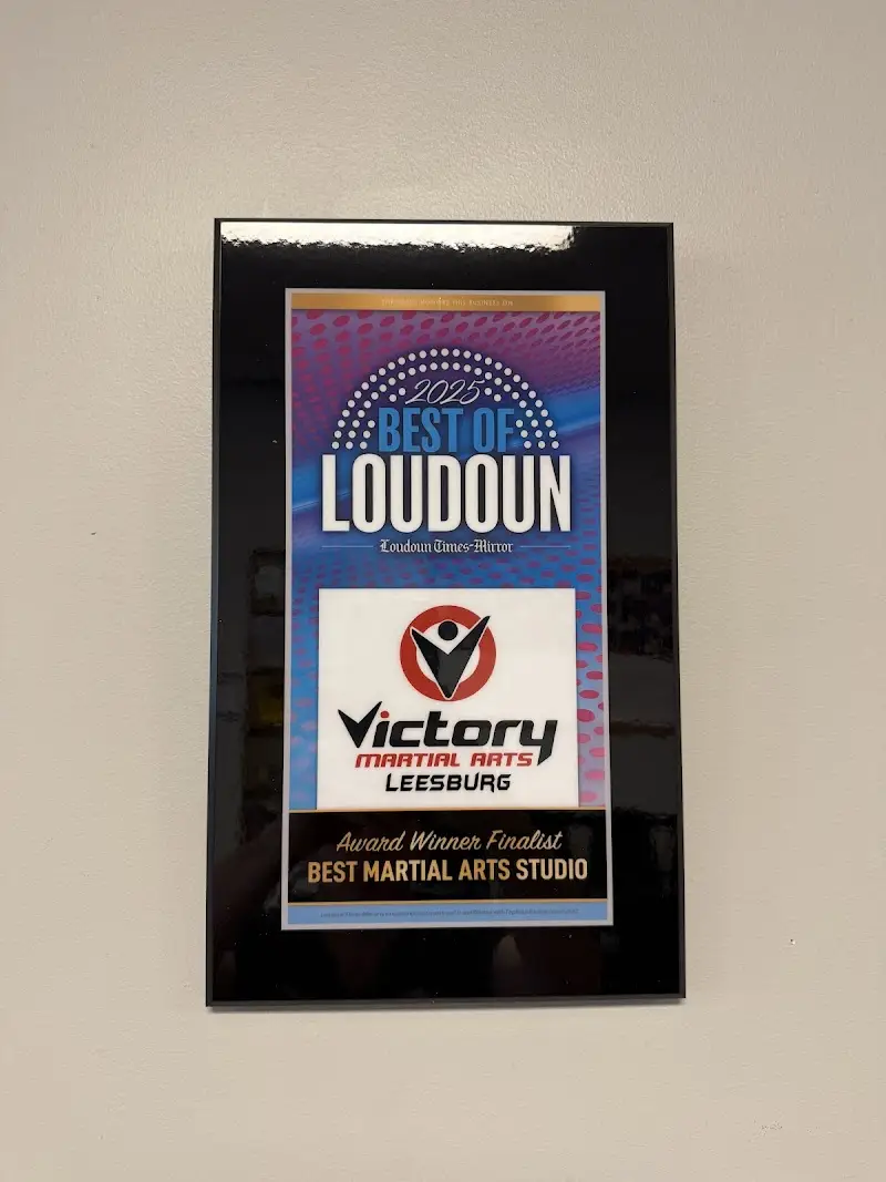 Victory Martial Arts BJJ Academy - photo 2