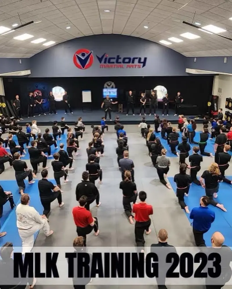 Victory Martial Arts BJJ Academy - photo 1