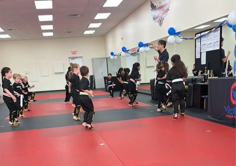 Victory Martial Arts - Stone Ridge