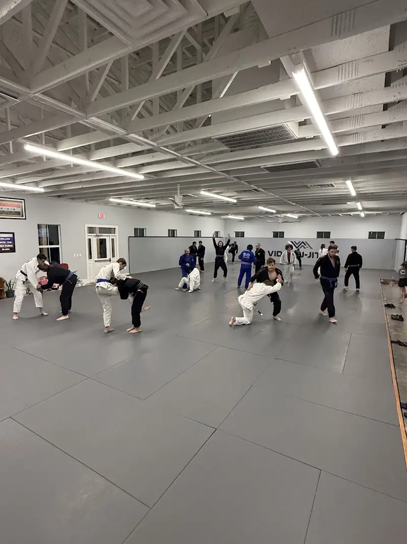 Vida Jiu-Jitsu BJJ Academy - photo 1