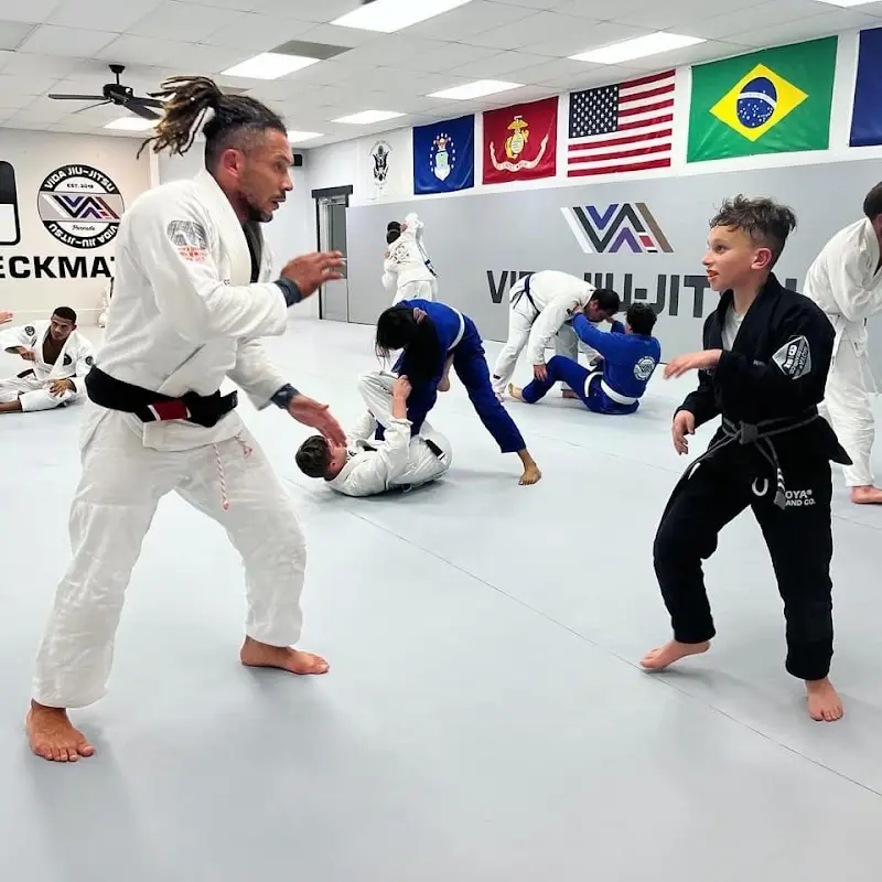 Vida Jiu-Jitsu BJJ Academy - photo 2