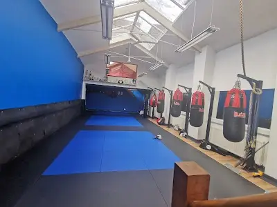 Vieira Martial Arts