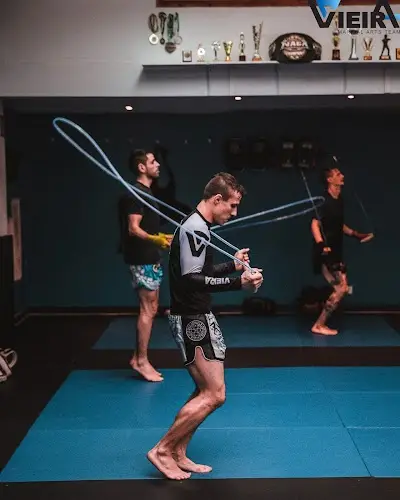 Vieira Martial Arts BJJ Academy - photo 2