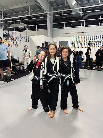 Vien Jiu Jitsu BJJ Academy - photo 4