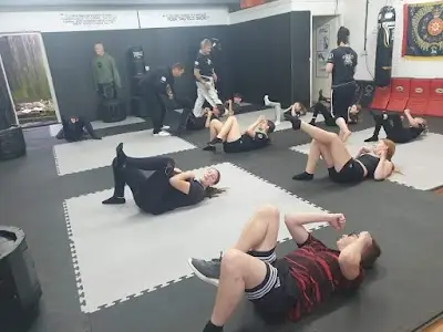 Viking Combatives BJJ Academy - photo 2