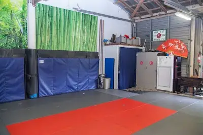 Ving Tsun Kung Fu