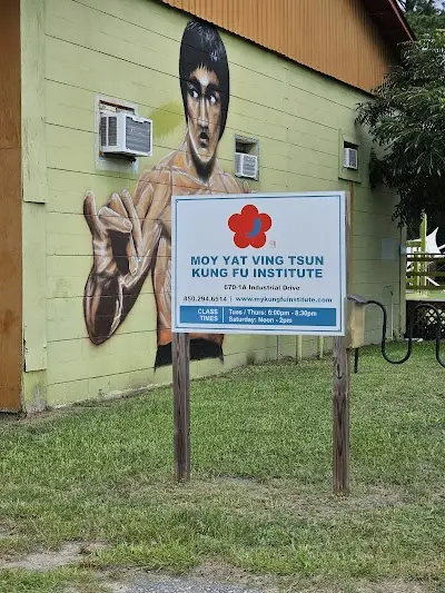 Ving Tsun Kung Fu BJJ Academy - photo 1