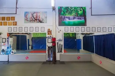 Ving Tsun Kung Fu BJJ Academy - photo 2