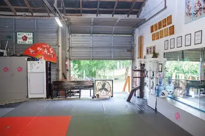 Ving Tsun Kung Fu BJJ Academy - photo 3